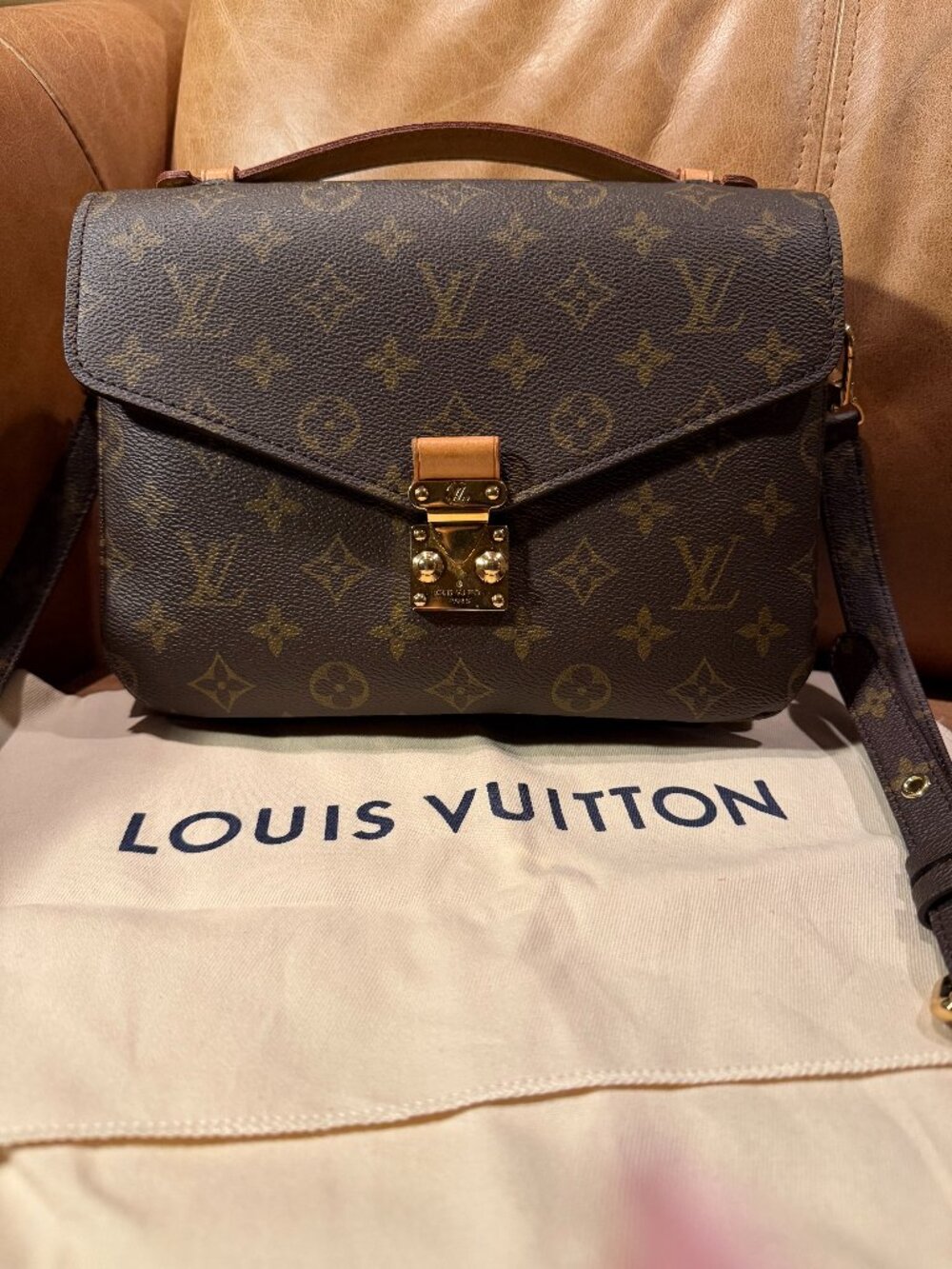 Louis Vuitton Pochette Métis Monogram Bag